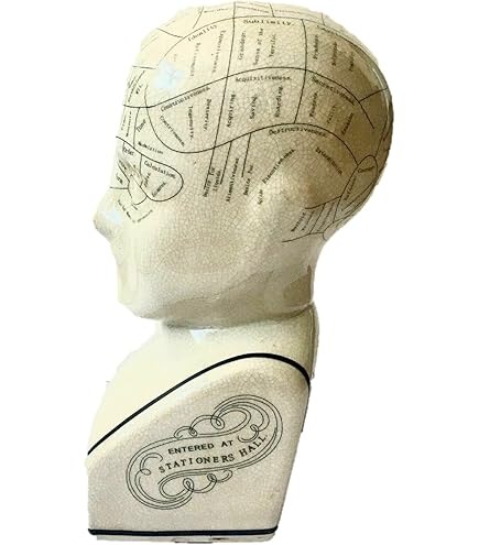 12 Ceramic Phrenology Head By AcaciaHome: Sculptures