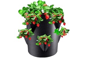 Générique Plantation pour Fraise, Jardinières Tour pour Fraisiers, Pots De Fleurs pour Jardins De Fraisiers avec 6 Poches Latérales, Respirantes, 7 Gallons, Portables, pour Cour, Balcon, Extérieur
