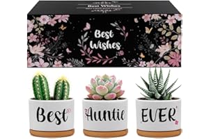 Belillpipi Auntie Birthday Gifts, Unique Best Aunty Ever Succulent Planter Pots for Auntie Birthday, Gifts for Aunty from Niece Nephew, for Aunt