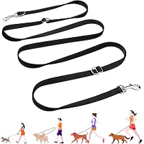 Buckle-Down Harley Quinn Katzenhalsband – Breakaway-Sicherheit, Offiziell Lizenziert Von DC Comics