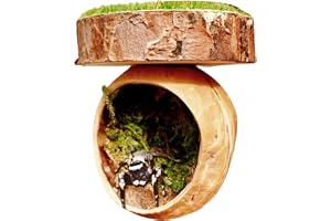Spider Habitat, Magnetic Jumping, Spider Shelter, 1.57x2.36 Inches, Handmade Reptile Accessory, Secure Climbing Cave Design