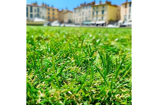 Gazon Synthétique 22mm : 2m de large x 5m de long soit 10M²