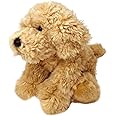VFM - Labradoodle Soft Toy Plush Teddy, Cavapoo, Cockapoo, Cuddly Dog, Teddy Bear Dog, Premium - 30cm - Biscuit