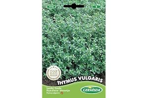 Germisem graines Thym d'hiver THYMUS VULGARIS