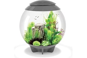 biOrb Halo 30L Aquarium in Grey with MCR LED Lighting