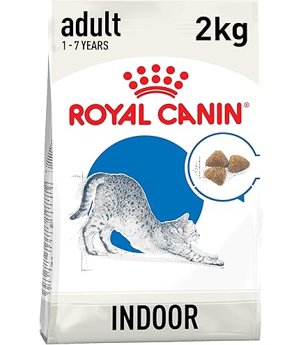  CANIN Bengal ドライフード2kg×2 Royal Canin Bengal Adult Dry Cat Food | Pets