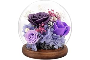 ‎FAYODO FAYODO Ewige Rose im Glas mit Licht, Konservierte Blumen als Geschenke für Frauen Mama Oma Freundin zum Valentinstag Muttertag Geburtstag Weihnachten Jahrestag Erntedankfest-lila