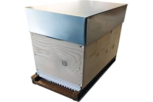 CÔTÉ RUCHE RUCHETTE Dadant 6 Cadres Premium avec Ses Cadres et sa Cire