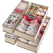 Alvinlite Organizzatore di cassetti per Biancheria Intima con Calze a 5 Griglie Scatole portaoggetti per armadietti in plastica per riporre la Biancheria(Blu