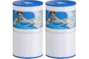 TOREAD Hot Springs Spa Filters replacement for Watkins 31489, Unicel C-6430, Pleatco PWK30, Filbur FC-3915, 73178, 73250, 71825, P/N0969601 Hot Tub Filters 2 Pack