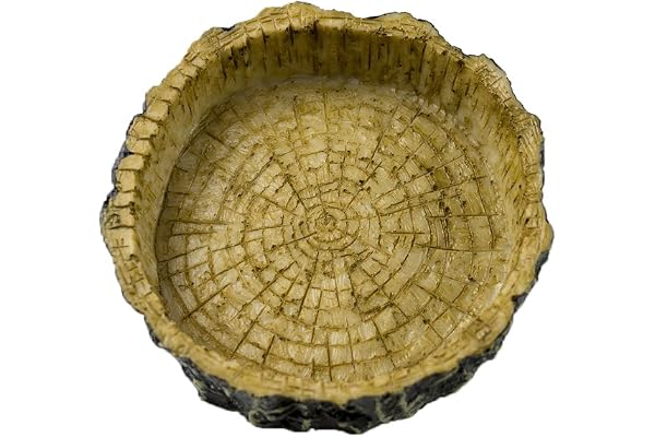 OMEM Gamelle Naturelle pour Reptiles - en résine - Écorce d'arbre