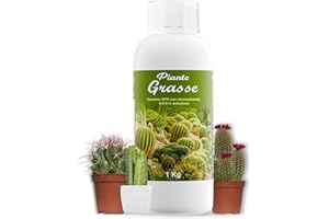 Concime Piante Grasse 1000ml - Concime Liquido Organico Minerale - Aumenta Crescita Resistenza Cactacee, Succulente, Cactus - Formulazione Naturale - Con Tappo Dosatore - Prodotto in Italia - Illica