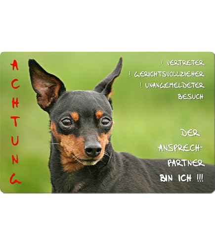 AKITA INU Warnschild Metall – 30,5x20 Cm, Aluminium 0,5 Mm, Für Garten, Haus Oder Hof