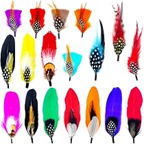 12 Plumes Naturelles Colorées Pour Chapeaux - Déco Fedora, Cowboy, Trilby | Accessoire Mode Homme Femme