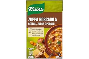Unilever IT DF DONAZIONE A BANCO ALIMENTARE - Knorr Zuppa Boscaiola con Cereali, Zucca E Porcini 500 ml