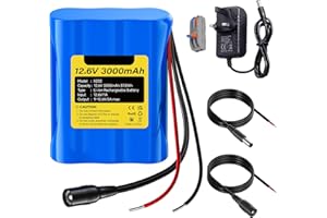 CITYORK 3000mAh 12.6V DC Rechargeable Lithium Ion Portable Battery Pack for solar charging panel, CCTV cameras, camcorders, MP3 players, LED strip lights