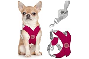 Pawaboo Puppy Harness and Lead Sets, Small Dog Harness X-Frame No Pull No Choke, Dog Vest Harness Adjustable for Small Medium Sized Dogs, Soft Breathable Pet Harness Walking Outing, S, Magenta
