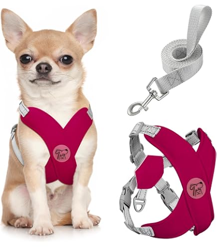 GAMUDA Hundegeschirr Set – Geschirr, Halsband & Leine, Weiches Netzgewebe, Reflektierend, Größe S