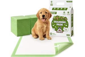 POGI'S PET SUPPLIES Pogi tappetini per cani XL (60 × 90 cm) – a 6 strati, super assorbenti ed ecologici – 40 pezzi