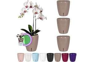 Santino Zestaw 4 doniczek na storczyki, Ø 15 cm, z systemem knot i wskaźnikiem poziomu wody, do wnętrz, piasek, 2 l