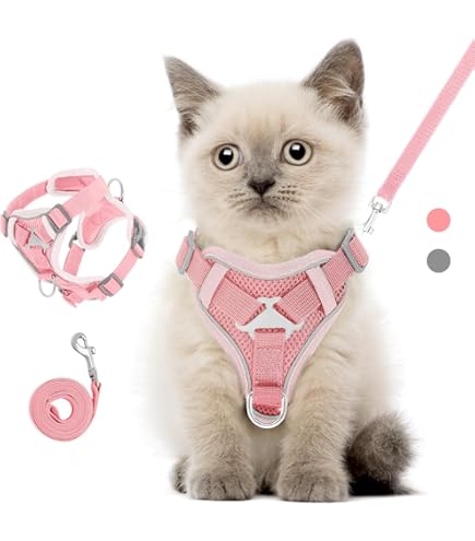 Cawjug Hundegeschirr Und Leine Set, Weiches Einstellbares Reflektierendes Schritt-in - Foto 4