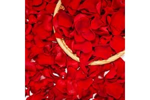 Rosenblätter Valentinstag Deko, Echte Rosenblüten Heiratsantrag Verlobung Deko für Romantik, Ideal als Jubiläen Hochzeitsdeko, Rote Rosen Geschenke für Frauen, Ewige Rose Romantisch Weihnachten Deko
