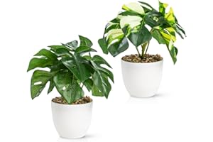 PASCH® Zestaw 2 sztucznych roślin jak prawdziwe (18 cm) w odpornych na pękanie doniczkach z melaminy, sztuczne rośliny w doniczce, sztuczne rośliny w doniczce, sztuczne kwiaty