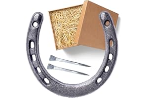 XIAOJING0 Set de Regalo con Herradura,Incluye 2 Clavos de Herradura para Fijar,Herraduras,Boda,Regalo de Fiesta,Decoración de Herradura Colgando Buena Suerte,Vintage de Boda,Regalo de Inauguración de la Casa