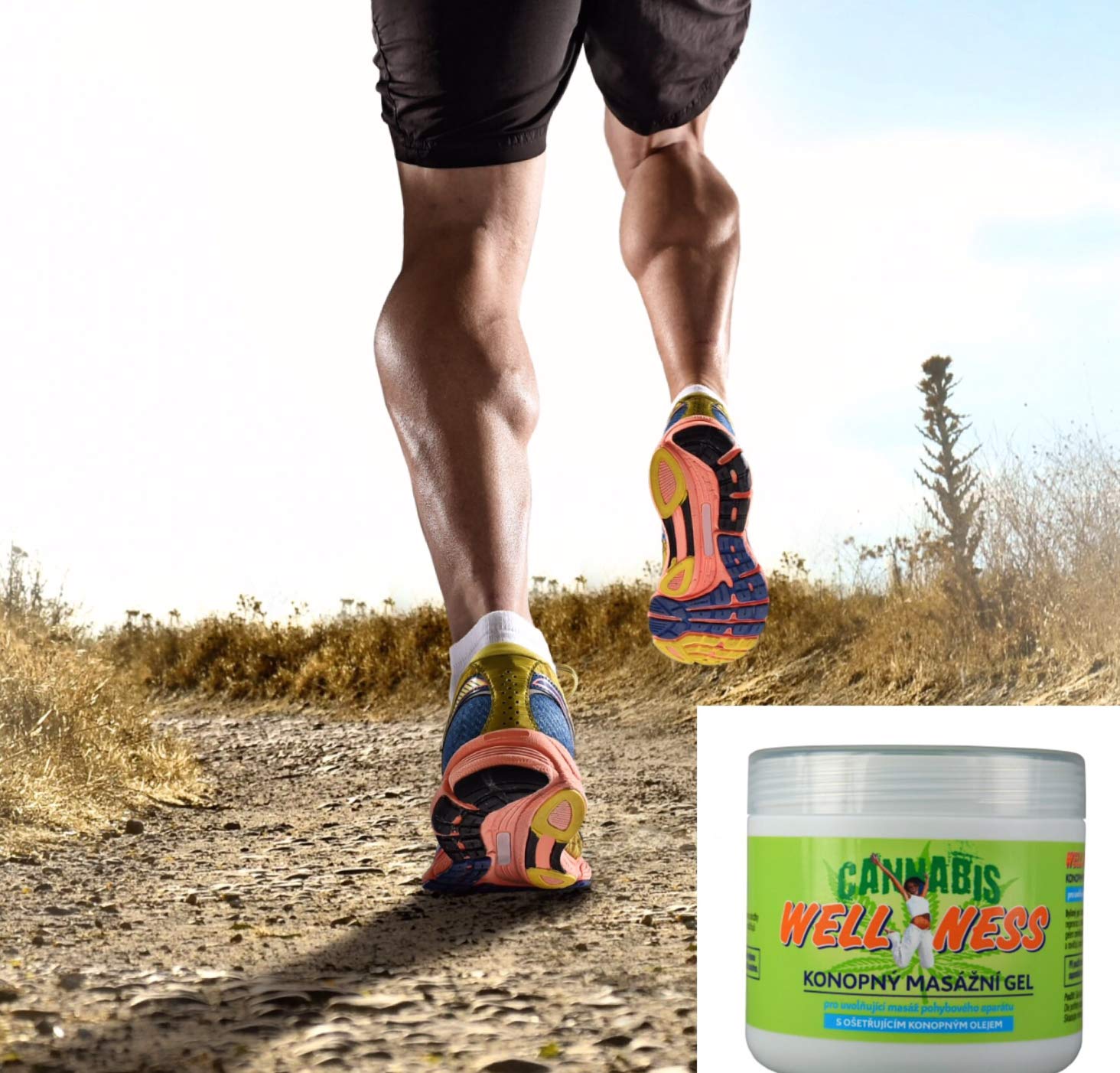 HEMP GEL for Pain Relief 500ml Anti Inflammatory Soothing Muscle and Joint Rub Relieves Back