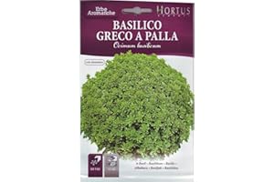 BASILICO GRECO A PALLA HORTUS BUSTA