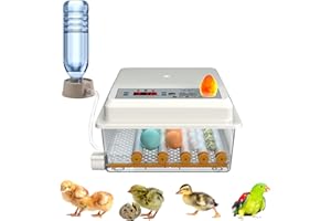 Auveach 16 Uova Incubatrice per Uova Automatica con Sistema Automatica di Giratura delle Uova/Controllo della Temperatura Design Elettrico Doppio per Anatre Pollame