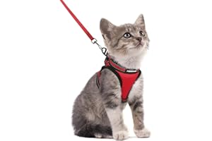 rabbitgoo Harnais Chat avec Laisse, Harnais Chaton Respirant et Bande Réfléchissante Gilet Petit Chien Réglable Rouge S Collier Animal Facile à Mettre pour Persan Ragdoll American Shorthair Chiot
