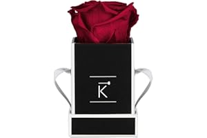 TRIPLE K Rosenbox - Infinity Rosen - Geburtstag, Valentinstag, Hochzeitstag - 3 Jahre haltbar - mit intensivem Rosenduft - inkl. Grußkarte - rot