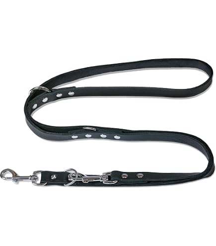 HUNTER Laisse Chien Aalborg – Cuir Vachette Marron Foncé, Réglable En Continu De 130 à 250 Cm, Fait Main (Allemagne)