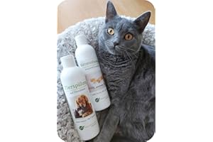 LT-NATURPRODUKTE Kit de toilettage pour chat | Shampoing & après-shampoing | Soin doux sans produits chimiques & savon | Contre les démangeaisons | Hypoallergénique | 2 x 250 ml | Pour poils courts et longs