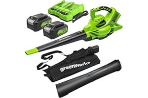 Greenworks 48V(24V x 2) Aspirafoglie Soffiatore a Batteria con Tracolla, Motore Brushless, 322km/h, 9m³/min, Sacco di Raccolta 45L, 2 4Ah Batterie, e Caricabatterie, Garanzia 3 Anni GD24X2BVK4X
