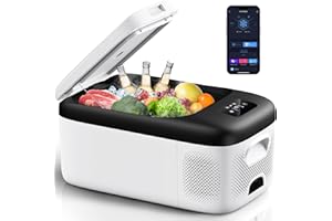 ORSHINAL 12V Car Fridge 18L, Portable Camping Mini Fridge Freezer 12V/24V, -20℃ to 20℃ Inverter Compressor, Quiet Electric Car Refrigerator with APP Control for Travel, Outdoor, Picnic, Beach, RV, Truck, Boat