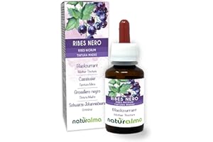 Blackcurrant (Ribes nigrum) Leaves and Fruits Alcohol-Free Mother Tincture Naturalma - Liquid Extract Drops 60 ml - Food Supplement - Vegan