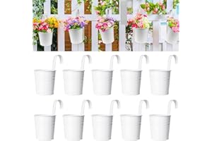 KAHEIGN 10 Pièces Pots de Fleurs Suspendus en Métal, 10CM Blanc Pots de Fleurs Seau à Fleurs Suspendu avec Crochet Amovible pour Garde-Corps Balcon Clôture Jardin Maison Décor