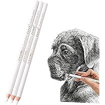 Set van 10 gumpotloden voor kunstenaars, witte gum, voor schetsen, voor het herzien van wisdetails, voor studenten, kunst, schilderen, kunstprojecten