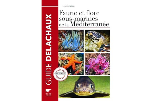Faune et flore sous-marines de la méditerranée