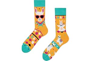 Dedoles Unisex Socks, for Women, Men and Children, Cotton, Many Fun Designs, Football, Bicycle, Horses, Plants, Fire Brigade, Gift, Different Left and Right Designs