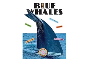 Blue Whales (X-Books: Marine Mammals)