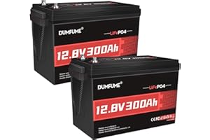 Dumfume Kit di 2 Batterie LiFePO4 12V 300Ah - 15.000+ Cicli, BMS 200A, 3840W - Batteria al Litio Fosfato Ricaricabile per Accumulo Solare, Camper e Applicazioni Off-Grid