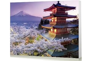 WOWDECOR Art Supplies Mount Fuji Japanese Landscape DIY Paint by Numbers Kits 40 x 50cm with Painting Brushes Canvas (No Frame)