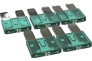 AUPROTEC Fusibles à Lames Mini 2A - 30A fusible enfichable d'automobile Choix: 30A ampère Vert, 5 pièces