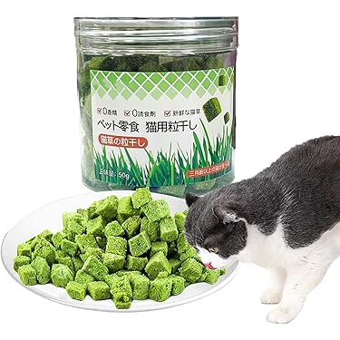 Kattengras. Een Volwassen Kat Heeft Een Prachtige Meerkleurige Jas Gras Voor Katten Huiskat Driekleurig Kattenbont 184109108