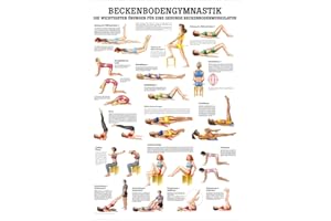 RÜDIGER Sport-Tec Beckenbodengymnastik Lehrtafel Anatomie 100x70 cm medizinische Lehrmittel