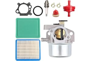 ZAMDOE 799871 799866 Carburateur pour Briggs & Stratton 790845 796707 794304 Carb Craftsman, Kit de Mise au Point pour Moteur 675 675ex 725ex Series, avec Filtre à air, Joint, Bougie d'allumage