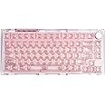 KiiBoom Phantom 81 V2 75% Hot Swappable Upgraded Crystal Gasket-Mounted Mechanical Keyboard, Triple Mode NKRO Gaming Keyboard with South-facing RGB, Clear Keycaps, 4000mAh Battery for Win/Mac (Pink)